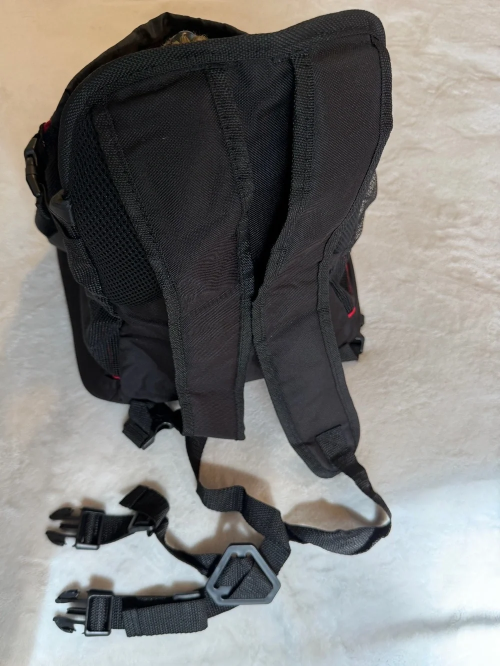 Top Paw Small Gray/Black Pet Travel Carrier Tote